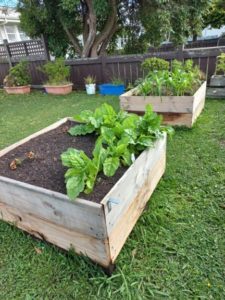 Read more about the article Growing Gardens and Communities (GGAC)