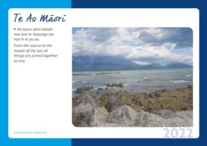 Read more about the article Water in Te Ao Maori – Jenny Te Paa Daniel